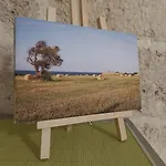 Διαμέρισμα Casa Dolce Casa *
